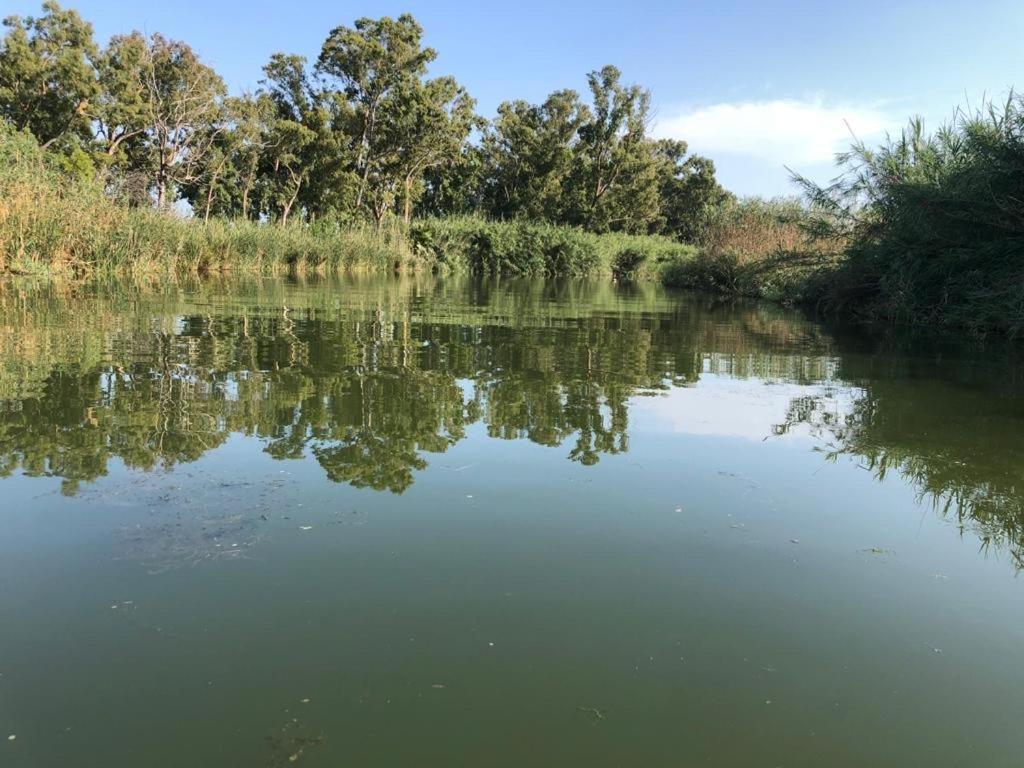 La Finestra Del Delta Pensionat L'Ampolla Exteriör bild