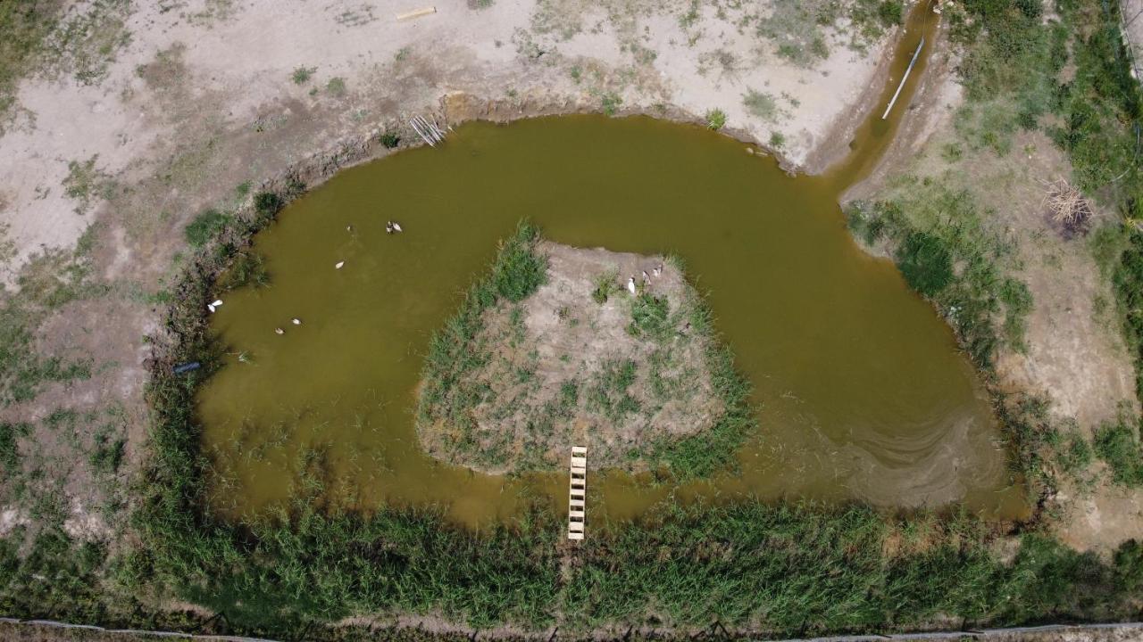 La Finestra Del Delta Pensionat L'Ampolla Exteriör bild